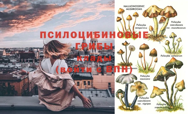 мескалин Богородск