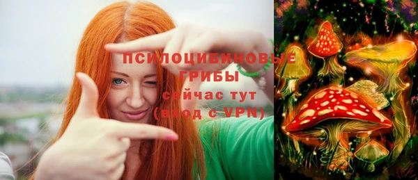 марки lsd Богородицк