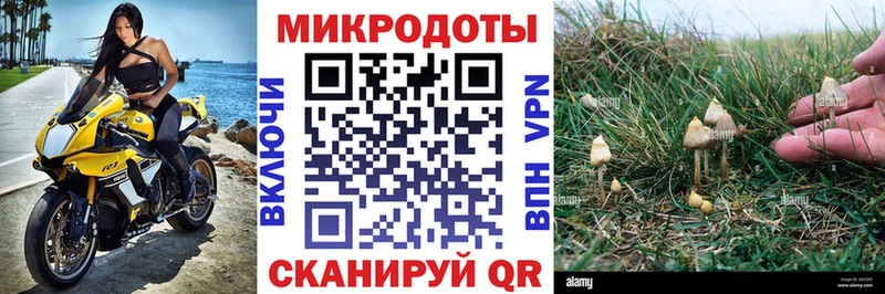 Галлюциногенные грибы Magic Shrooms ссылка на мегу вход Курильск