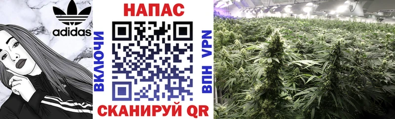 OMG ССЫЛКА  Курильск  Канабис индика 